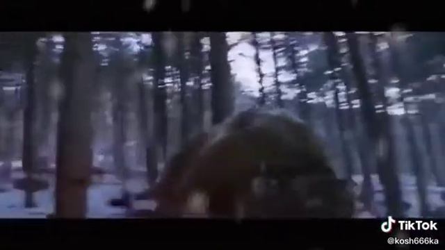 тигр смотреть онлайн
