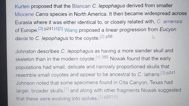 Cenozoic profile Canis lepophagus смотреть онлайн