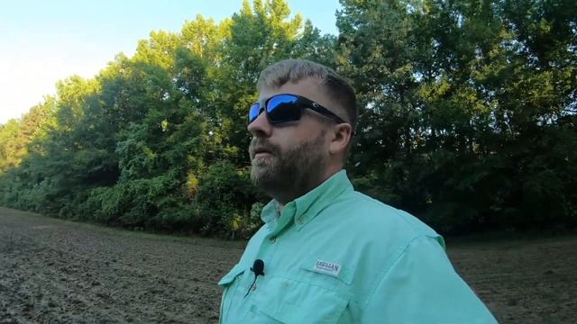 Dove Field Disaster!