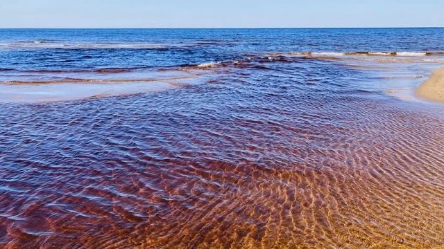 14.09.2022 - Шелтозеро