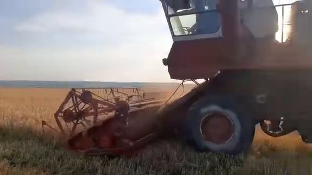 Фермеры района приступают к уборке урожая смотреть онлайн