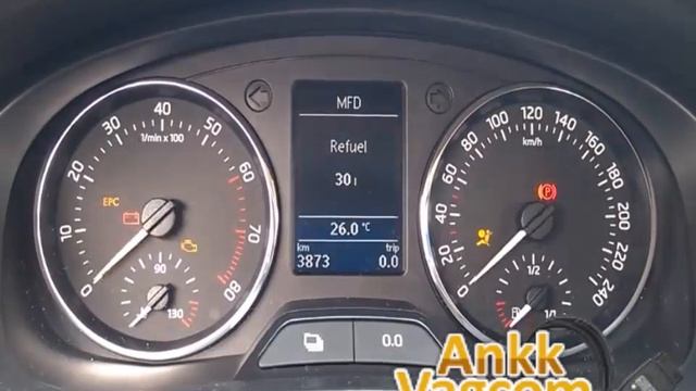 Skoda Rapid (NH) Needles sweep смотреть онлайн