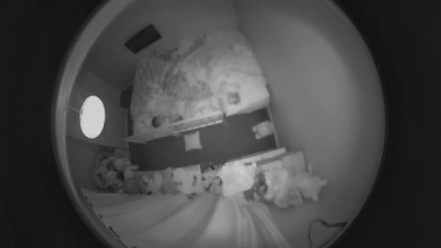 Orbs . Clever Dog Bedroom Cam