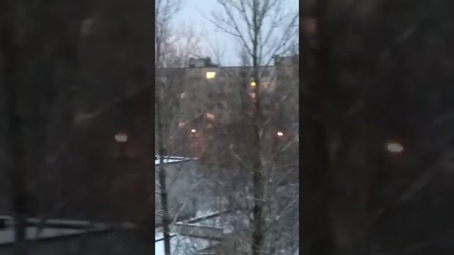 Понял почему вороны те облюбовали тополя