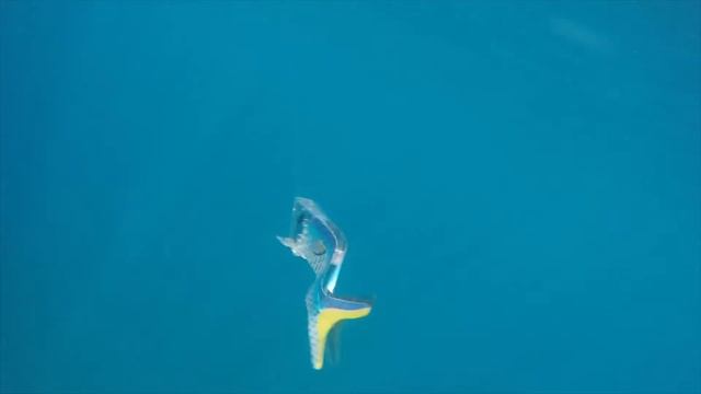 Sea Lime Lures Troll & Teaser смотреть онлайн