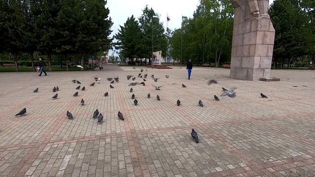 Вело-пробег на день России в Сыктывкаре смотреть онлайн