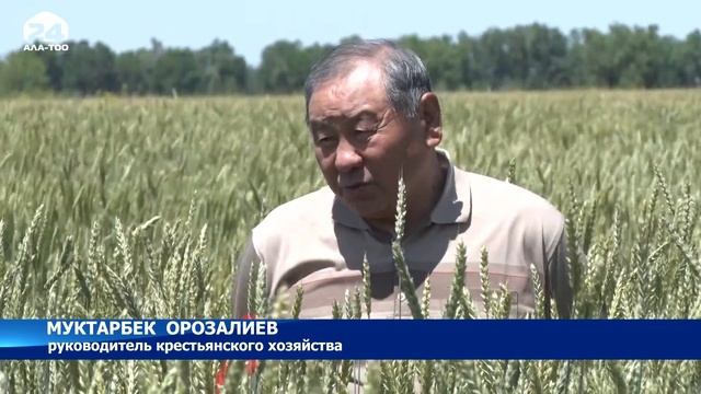 Преимущества севооборота смотреть онлайн