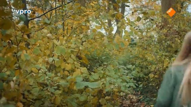 De regels van floor - Floater смотреть онлайн