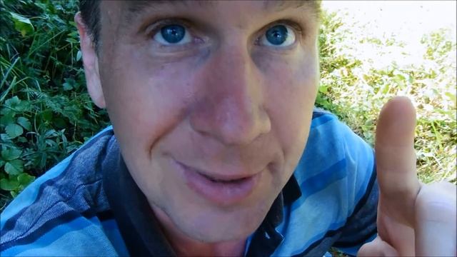 АВТОБИОГРАФИЯ (ЧАСТНЫЙ СЕКТОР) смотреть онлайн