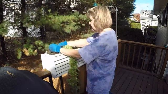 November Garden Cleanup смотреть онлайн