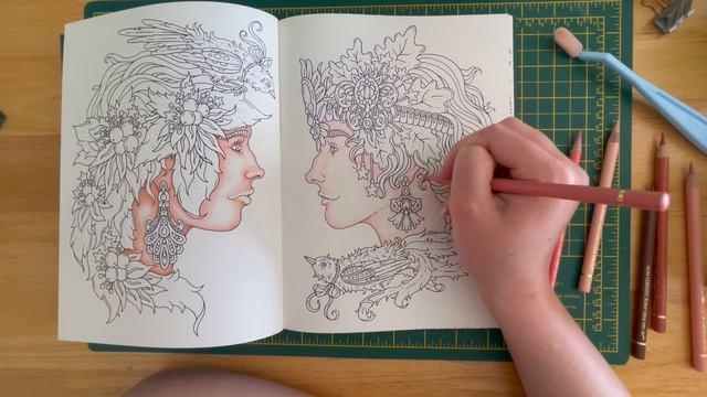 Using Brush and Pencil powder blender for skin with Faber Castell polychromos coloured pencils смотреть онлайн