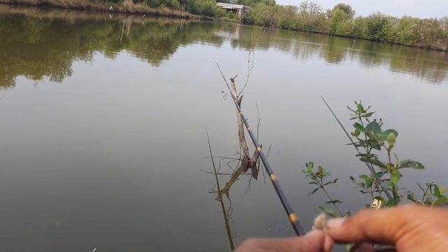 mancing mujaer di dekat bandara ahmad yani смотреть онлайн