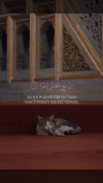 За каждой тягостью наступает облегчение 94:6 смотреть онлайн