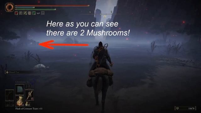 Elden Ring || Best Mushroom farm смотреть онлайн