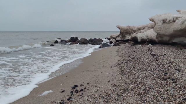 Лебеди у моря Приморск.2023г. смотреть онлайн