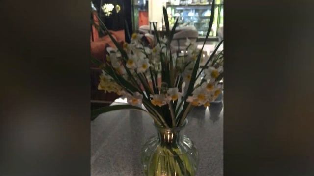 мудрый чай  по вечерам в Хосте 