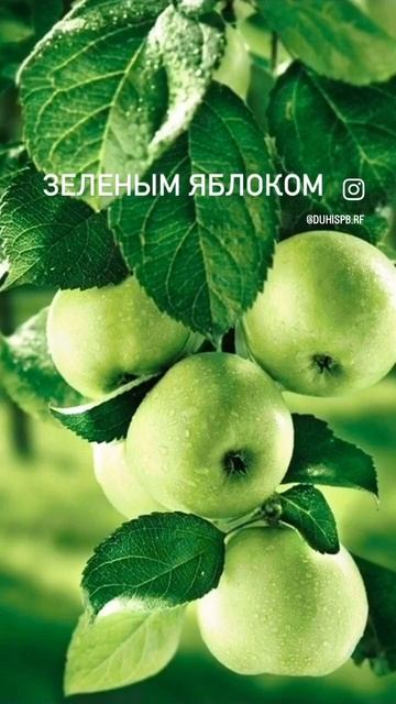 Vilhelm Dear Polly как отличить оригинал от копии? Заказывай на духиспб.рф, там только оригинал смотреть онлайн