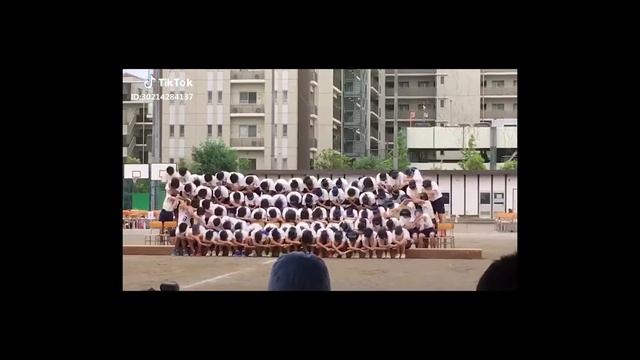 НЕ ПРОПУСТИ || ТИК-ТОК ТОП МОМЕНТЫ || ФЕВРАЛЬ 2019