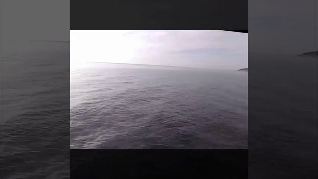 15 ноября 2020 смотреть онлайн