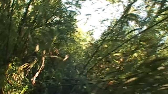 иду по траве смотреть онлайн