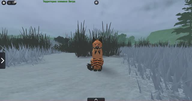 Как их назвать? Идеи пишите в коменты))