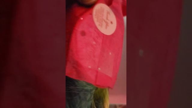 doll of a kind wig unboxing part 1 for smart doll's смотреть онлайн