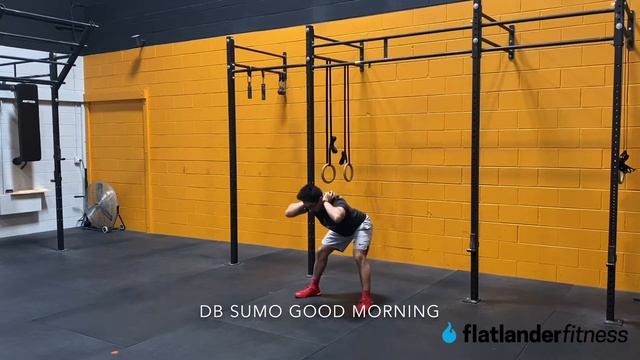 Dumbbell Sumo Good Morning Demo смотреть онлайн