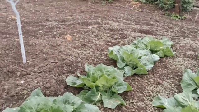 Приятный бонус.Вишенка на торте/Не переключайся!