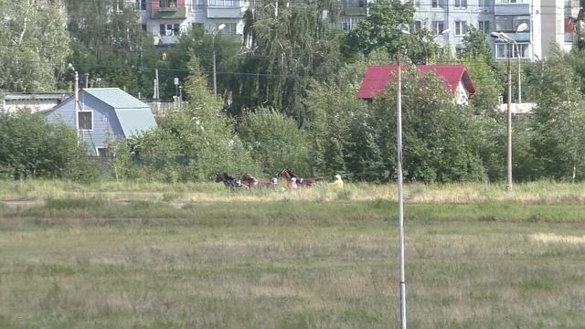 7 Раменский ипподром 06.07.2019 - ПРИЗ «КОВБОЯ» - 2 гит смотреть онлайн