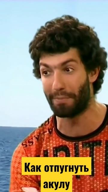 Как отпугнуть акулу смотреть онлайн