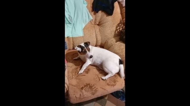 побег из тюрьмы игра в реальной жизни 2 часть
