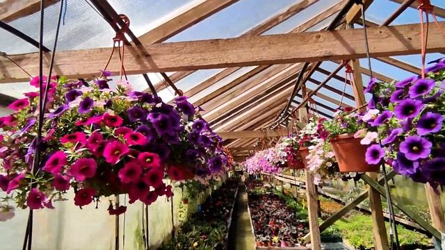 МЫ ЗАШЛИ В ЦВЕТОЧНЫЙ РАЙ . ВЫБИРАЕМ ВСЁ ЧТО НАМ НРАВИТСЯ смотреть онлайн