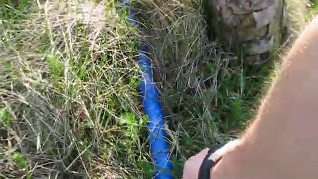засадили грядки огородиной. смотреть онлайн