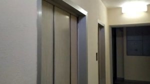 Электрические лифты (КМЗ-1994) г. Москва, Мичуринский проспект, 25к4, под-3 (03.02.2021)