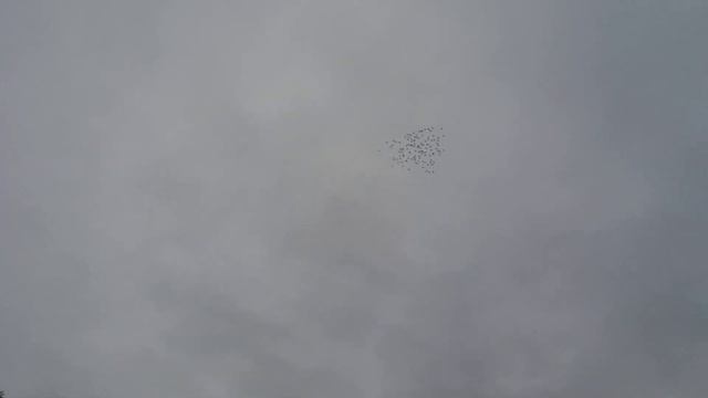 Sobotnie Sprzątanie I Kawa