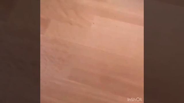 ШВАБРА ГРИВЕЙ