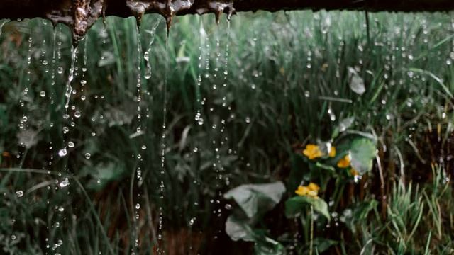 Успокаивающее звуки дождя идеально подходят для снаThe soothing sounds of rain perfect for sleepin смотреть онлайн