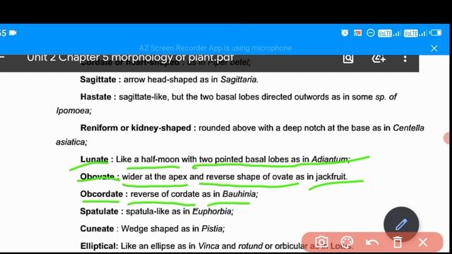 Parts Of Leaf | Plant Morphology And Anatomy | Biology Class 11 | Lecture-8