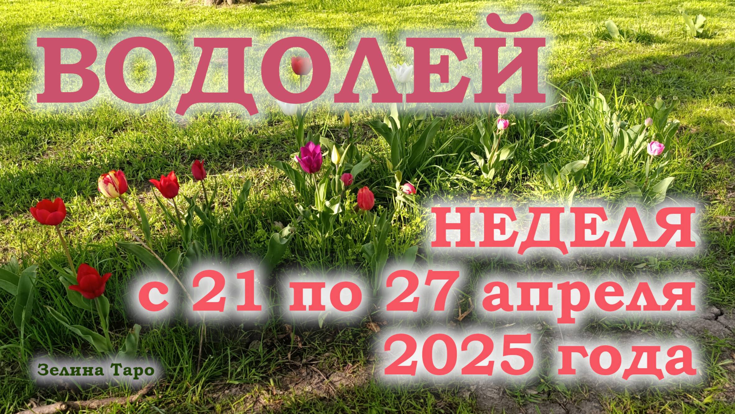 ВОДОЛЕЙ | ТАРО прогноз на неделю с 21 по 27 апреля 2025 года