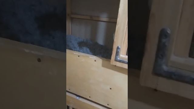 Shamo Шамо смотреть онлайн