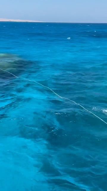 Egypt. Hurghada. Red sea. Неповторимое Красное море. Египет. Хургада. смотреть онлайн