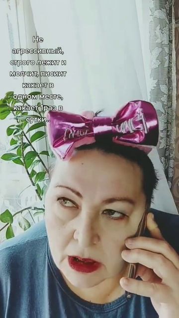 #камаеважжет#пародии#смех#юмор#приколы смотреть онлайн