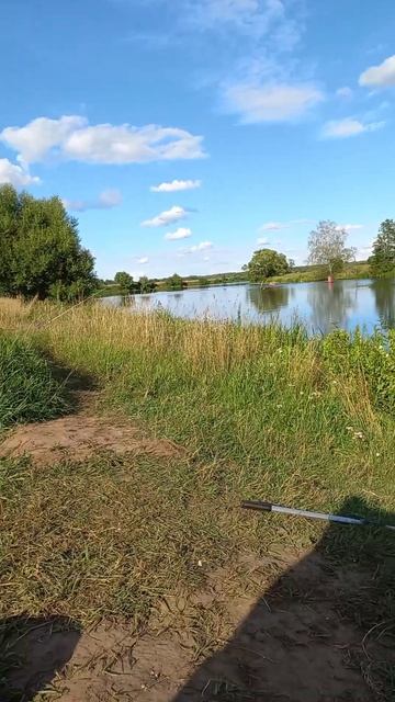 #Рыбалка#Дубна#Природа смотреть онлайн