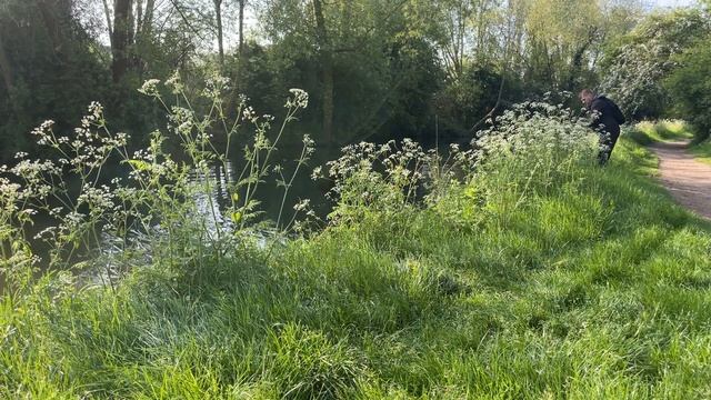 Didelių Lydekų žvejyba UK Kanale!