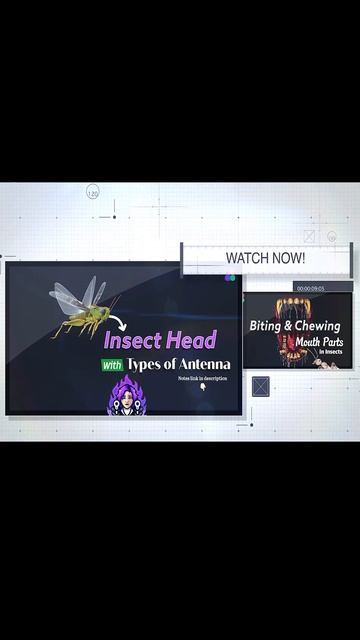 Uncover the Mysteries of Entomology with AgriDots смотреть онлайн