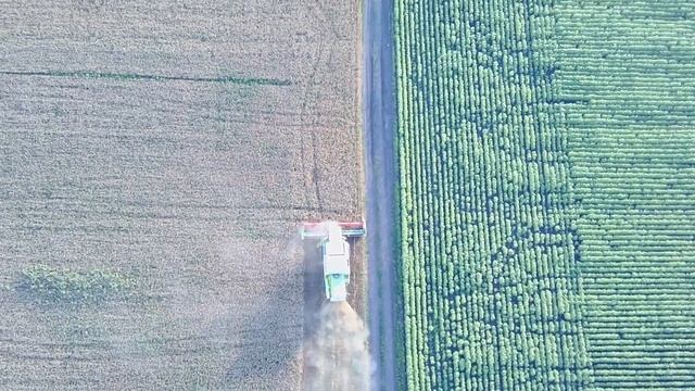 Уборка зерна ст Гиагинская 02.07.2021