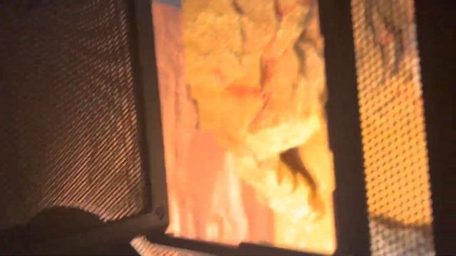 Thrive 40 Gallon Desert Essential Kit Review