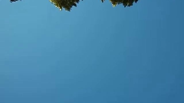 Бакинские голуби. молодежь еле еле видно