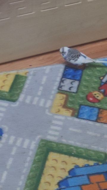 Лера играет с детьми смотреть онлайн