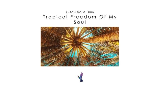 Anton Dolgushin - Tropical Freedom Of My Soul
